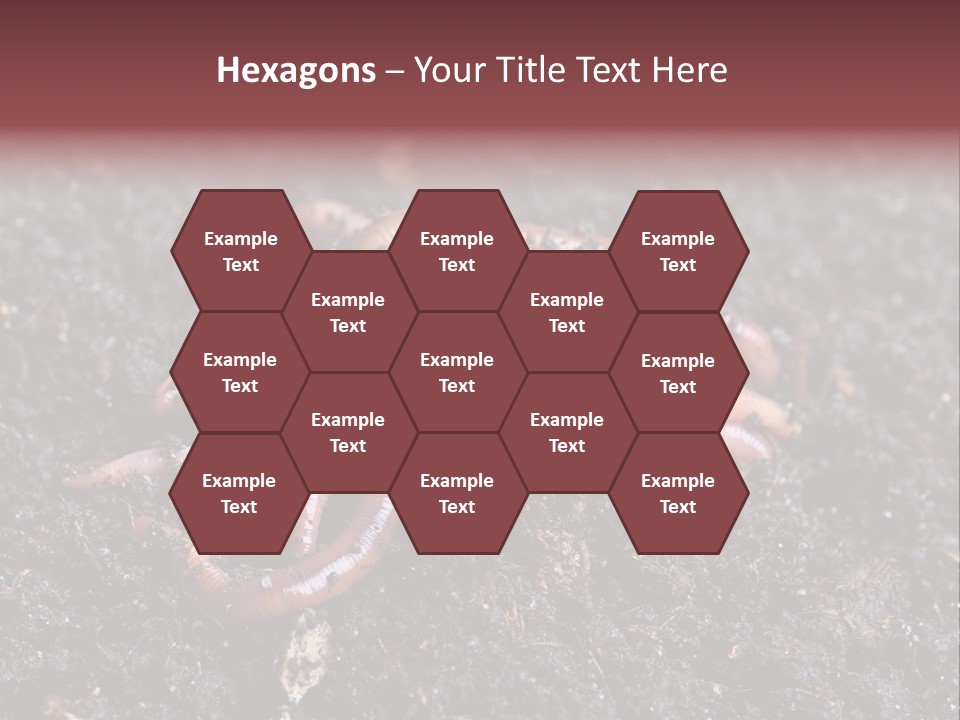 Group Agriculture Rain PowerPoint Template