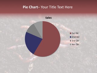 Group Agriculture Rain PowerPoint Template