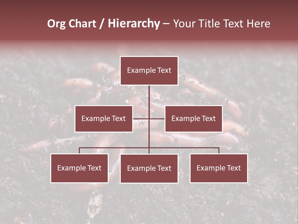 Group Agriculture Rain PowerPoint Template