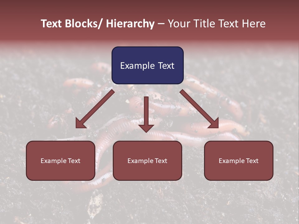 Group Agriculture Rain PowerPoint Template