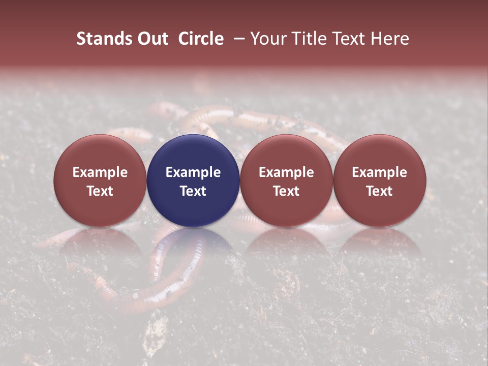 Group Agriculture Rain PowerPoint Template