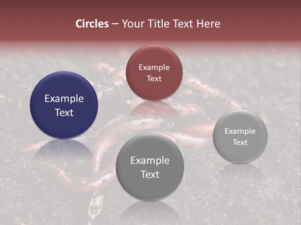 Group Agriculture Rain PowerPoint Template