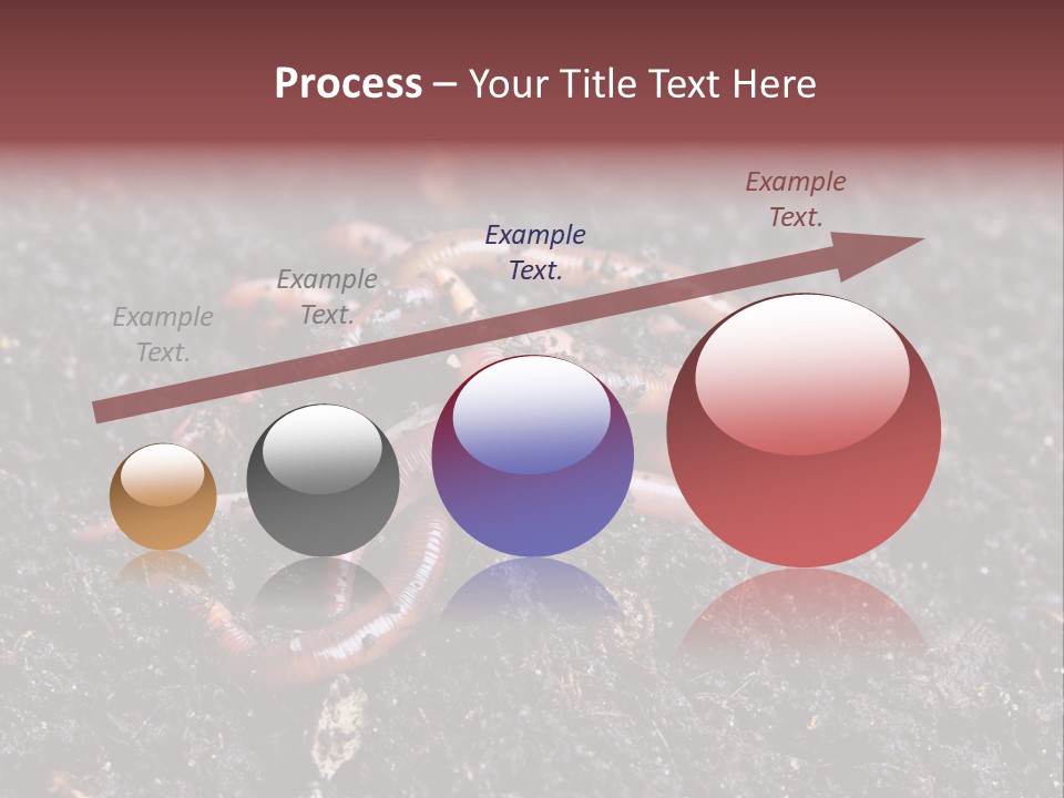 Group Agriculture Rain PowerPoint Template
