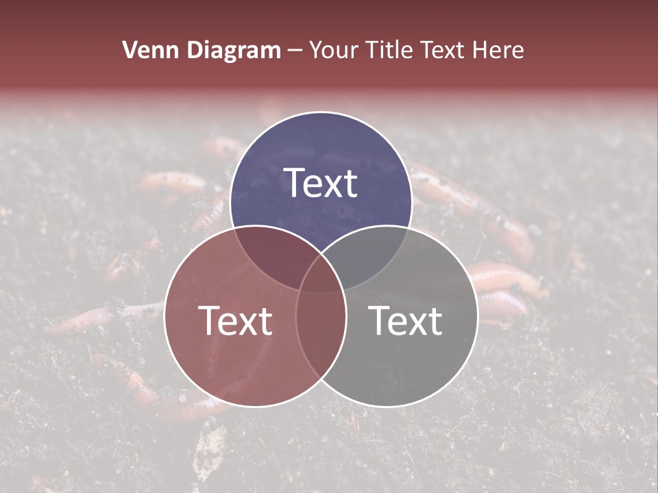 Group Agriculture Rain PowerPoint Template