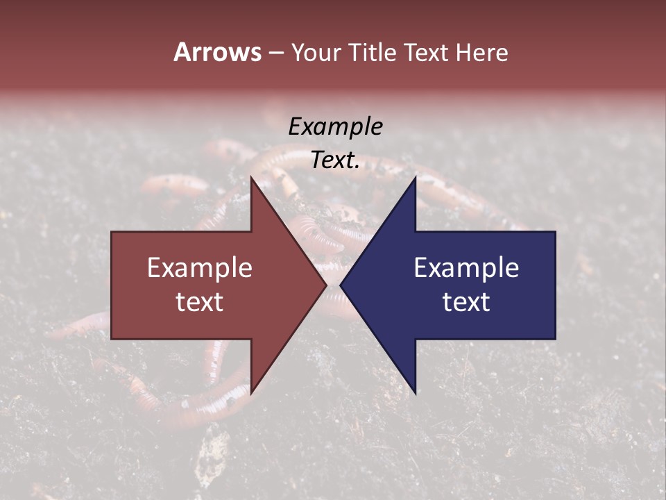 Group Agriculture Rain PowerPoint Template