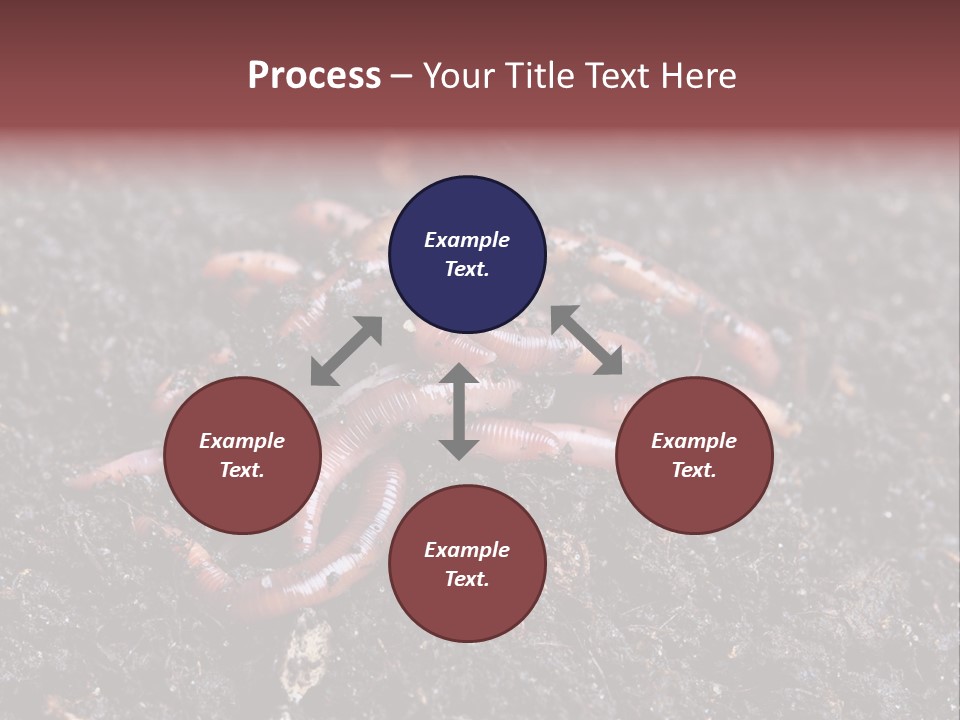 Group Agriculture Rain PowerPoint Template