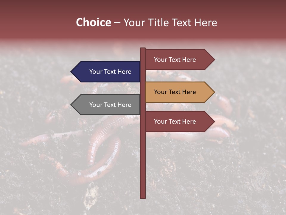 Group Agriculture Rain PowerPoint Template