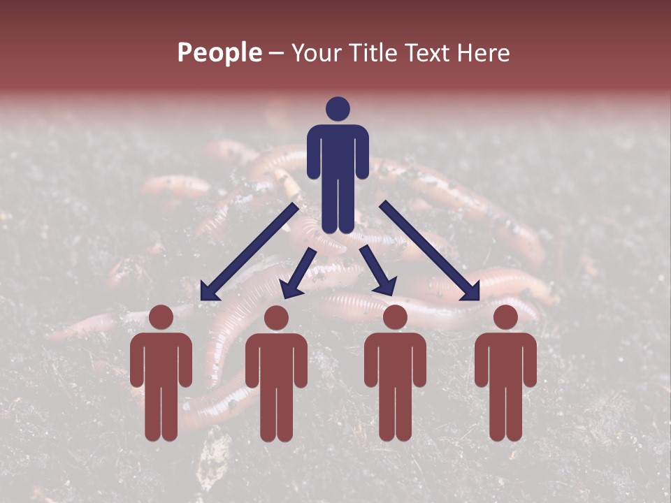 Group Agriculture Rain PowerPoint Template