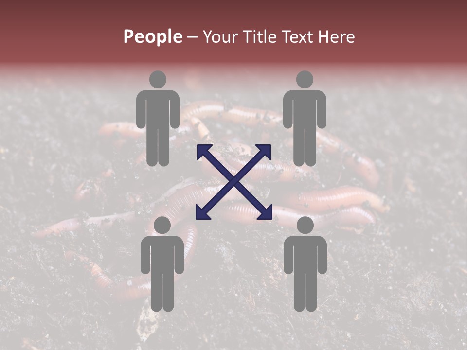 Group Agriculture Rain PowerPoint Template