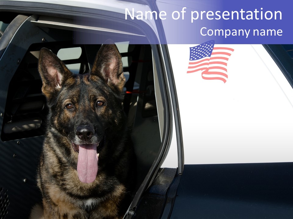Animal Law Enforcement Pet PowerPoint Template