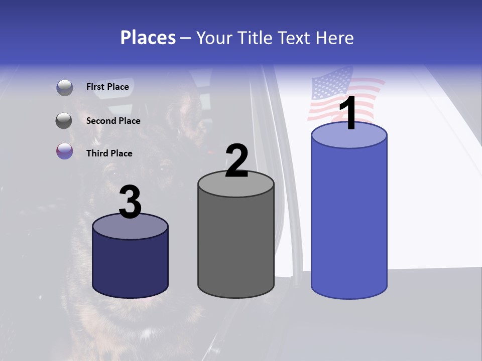 Animal Law Enforcement Pet PowerPoint Template