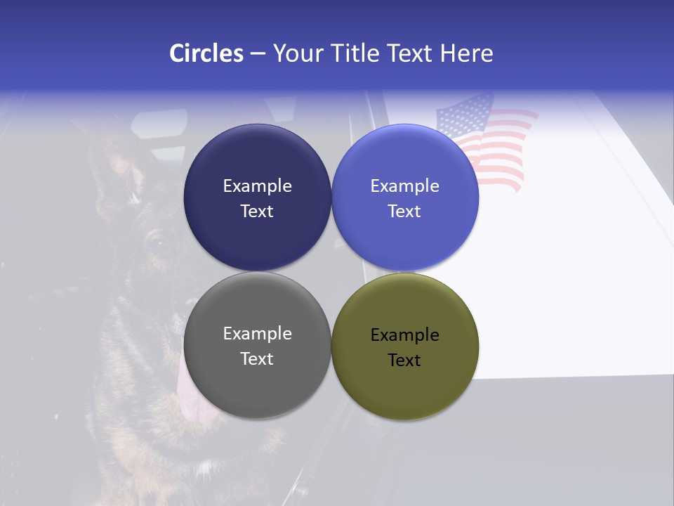 Animal Law Enforcement Pet PowerPoint Template