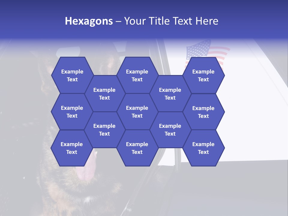 Animal Law Enforcement Pet PowerPoint Template