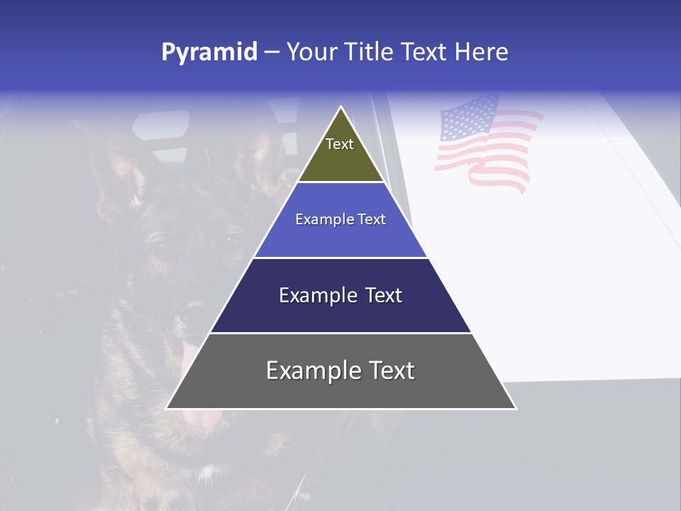 Animal Law Enforcement Pet PowerPoint Template