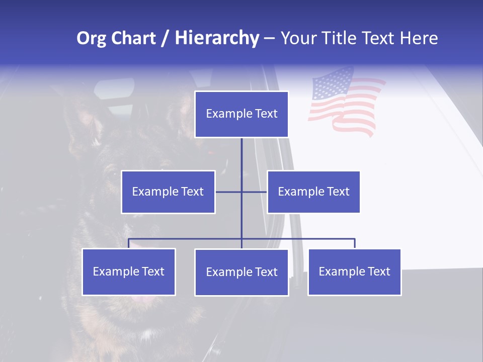 Animal Law Enforcement Pet PowerPoint Template