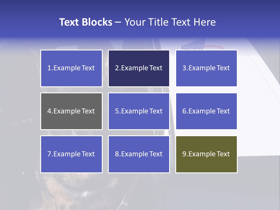 Animal Law Enforcement Pet PowerPoint Template