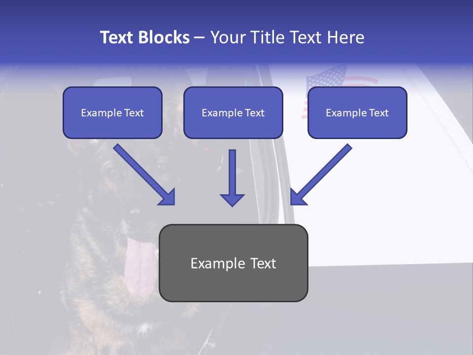 Animal Law Enforcement Pet PowerPoint Template