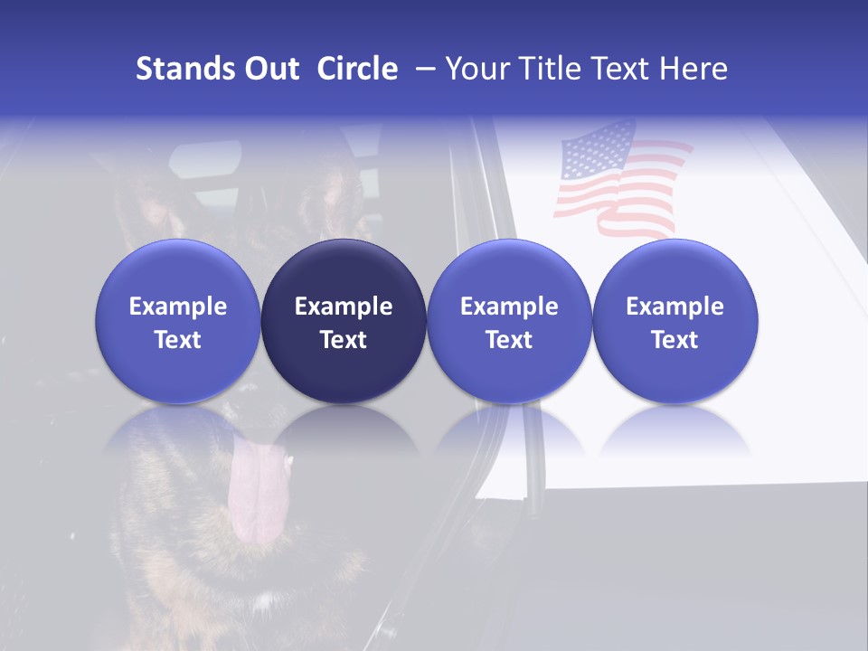 Animal Law Enforcement Pet PowerPoint Template