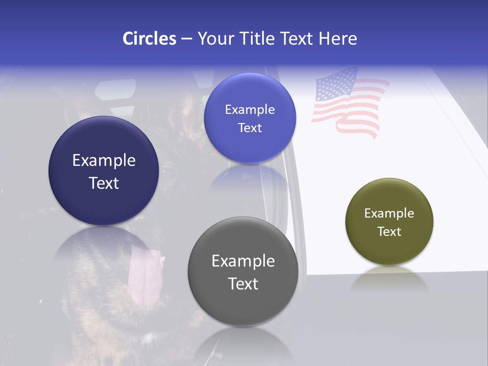 Animal Law Enforcement Pet PowerPoint Template