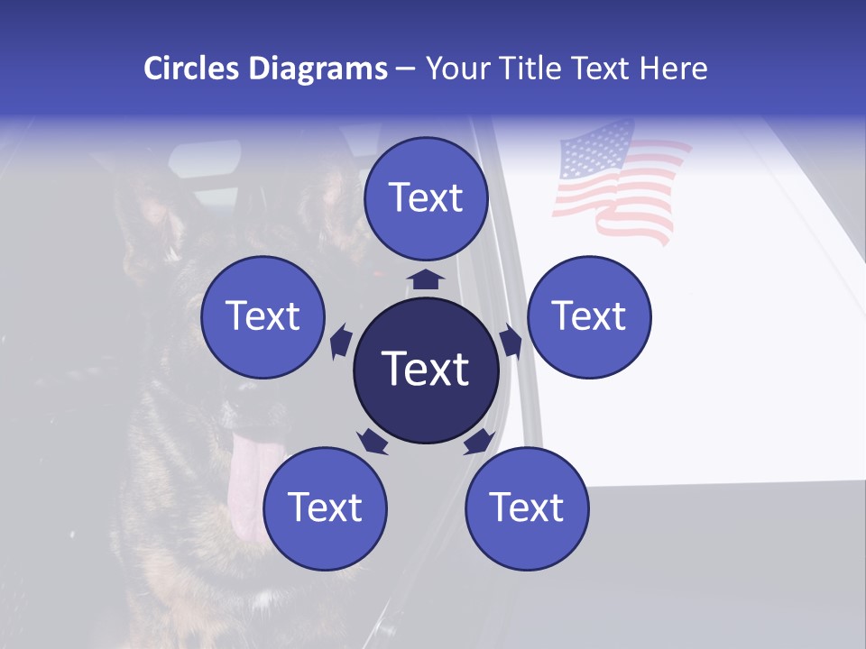 Animal Law Enforcement Pet PowerPoint Template