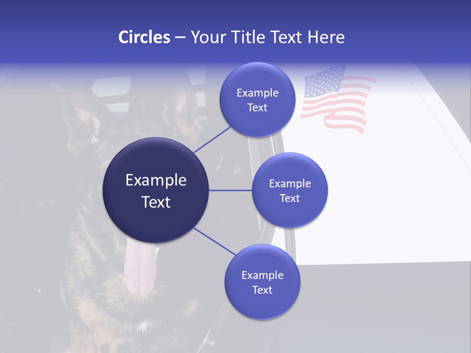 Animal Law Enforcement Pet PowerPoint Template