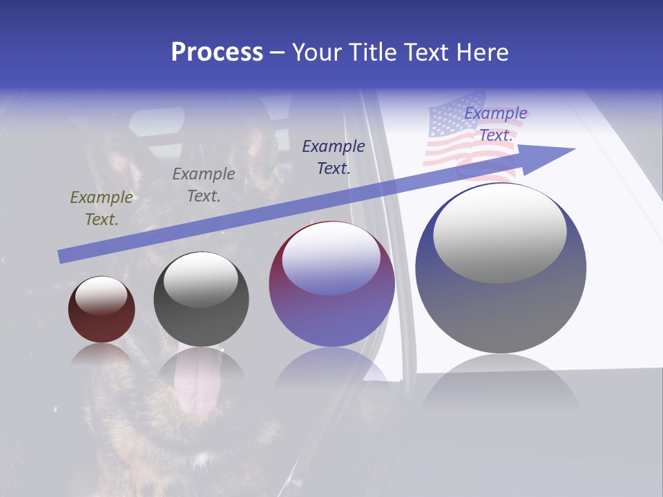 Animal Law Enforcement Pet PowerPoint Template