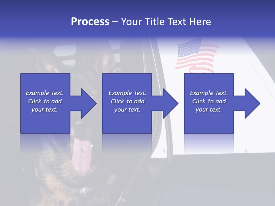 Animal Law Enforcement Pet PowerPoint Template