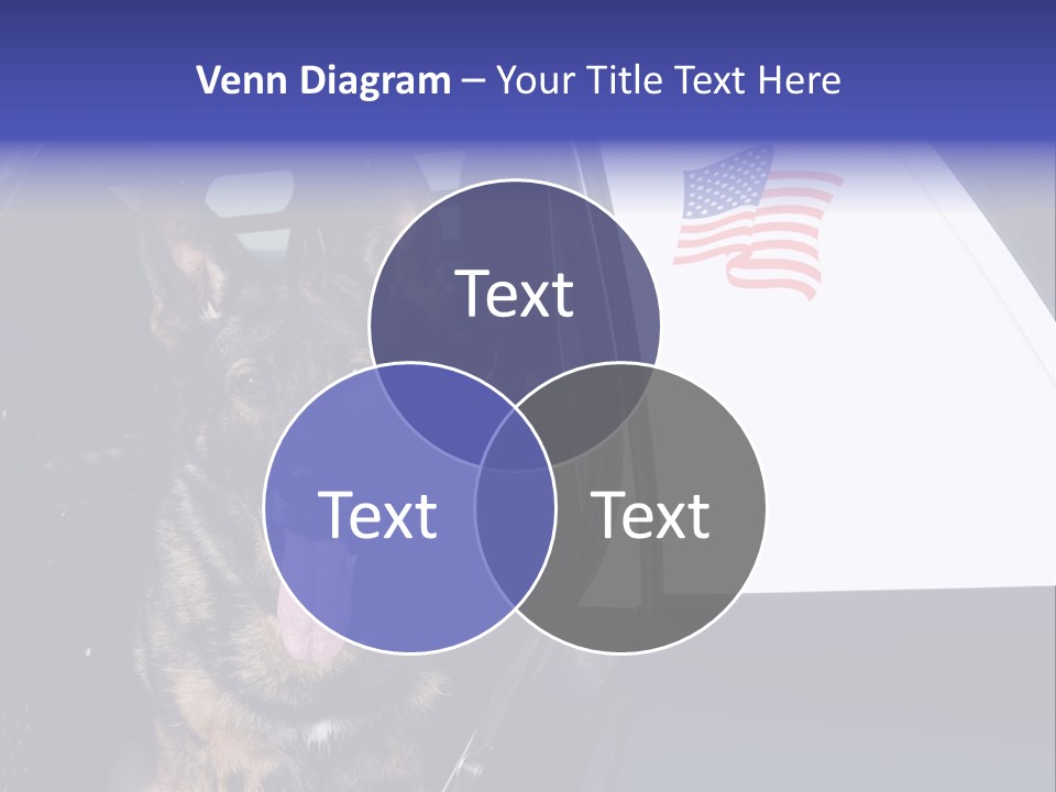 Animal Law Enforcement Pet PowerPoint Template