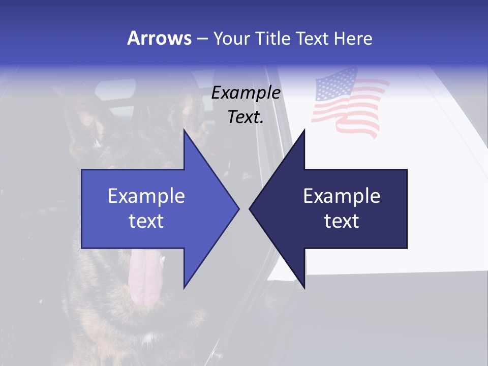 Animal Law Enforcement Pet PowerPoint Template