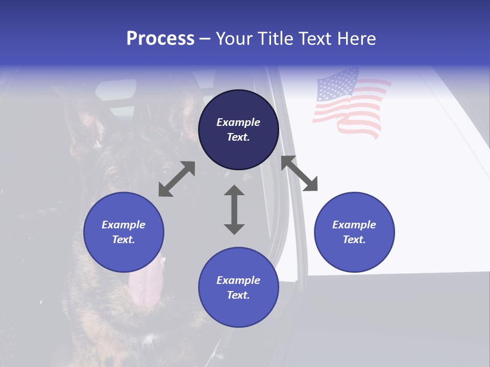 Animal Law Enforcement Pet PowerPoint Template