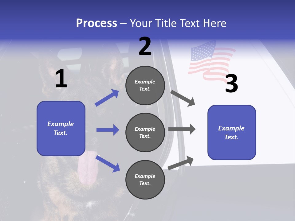 Animal Law Enforcement Pet PowerPoint Template