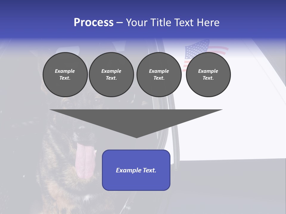 Animal Law Enforcement Pet PowerPoint Template
