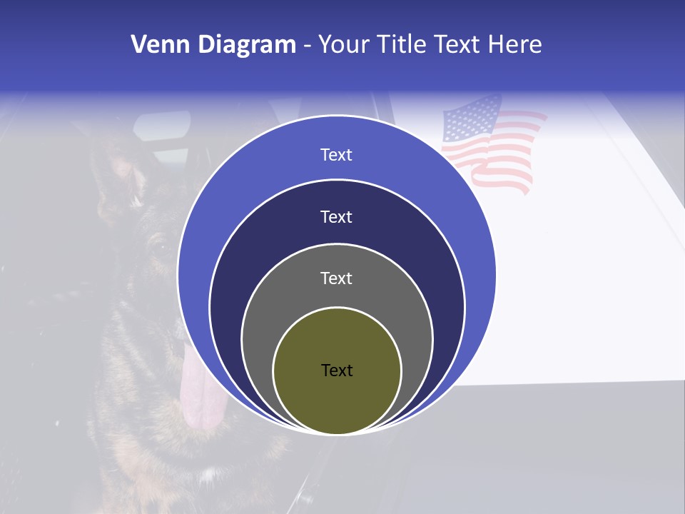 Animal Law Enforcement Pet PowerPoint Template