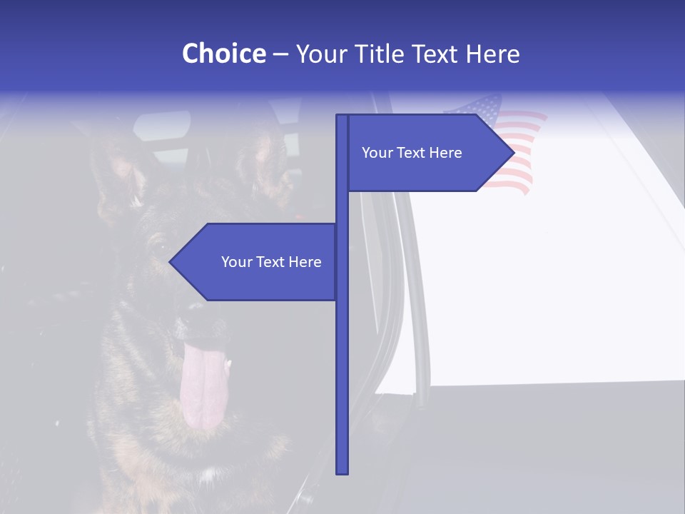 Animal Law Enforcement Pet PowerPoint Template