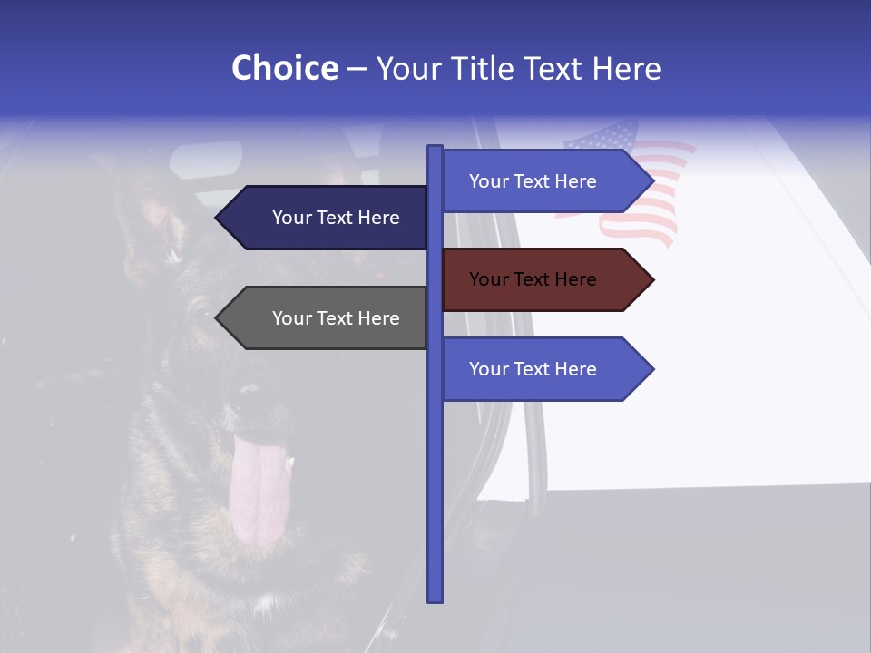 Animal Law Enforcement Pet PowerPoint Template