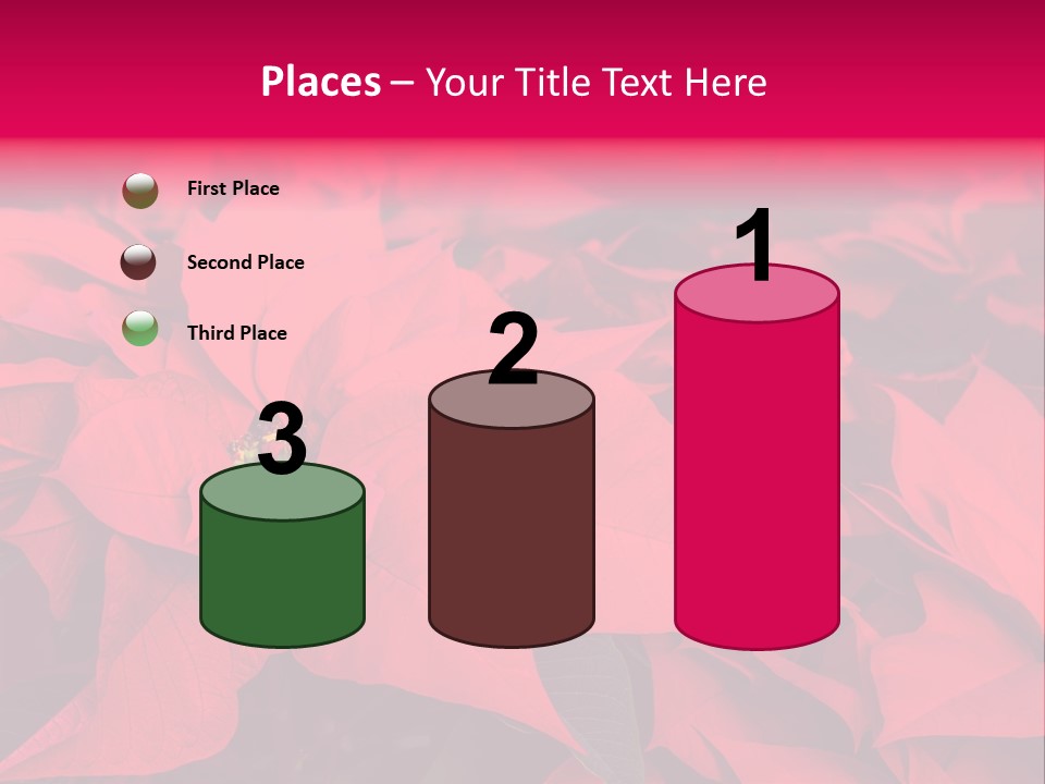 Christmas Plants Christmas Present Purple Poinsettias PowerPoint Template