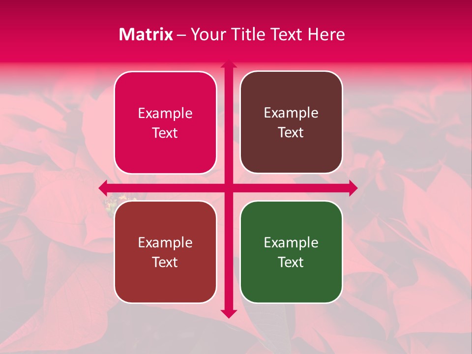 Christmas Plants Christmas Present Purple Poinsettias PowerPoint Template