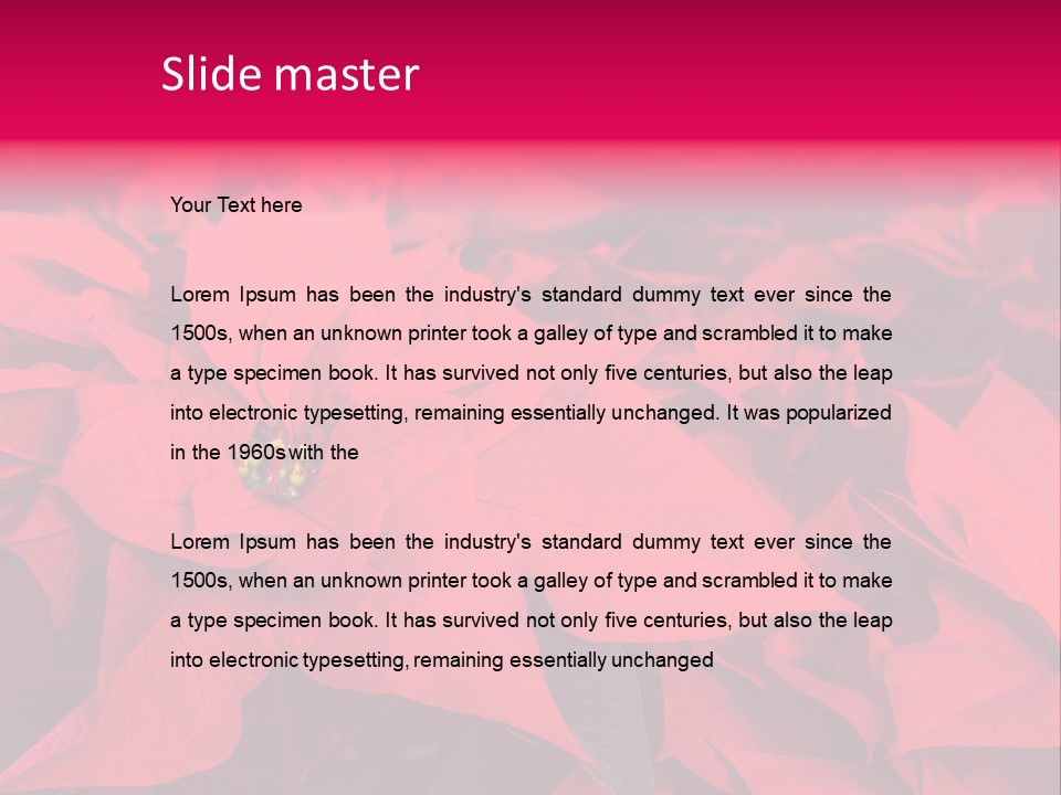 Christmas Plants Christmas Present Purple Poinsettias PowerPoint Template