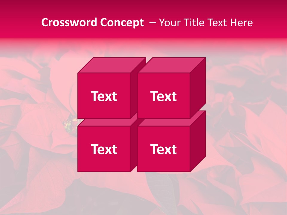 Christmas Plants Christmas Present Purple Poinsettias PowerPoint Template