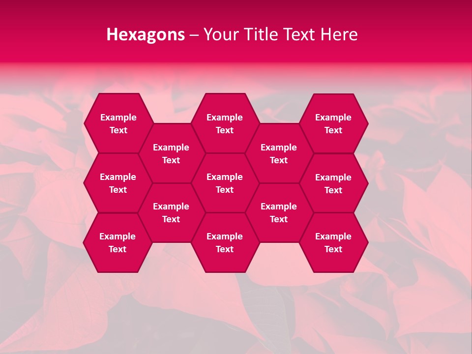 Christmas Plants Christmas Present Purple Poinsettias PowerPoint Template