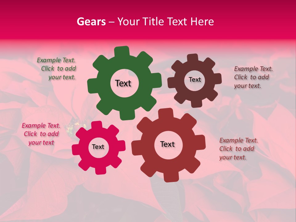 Christmas Plants Christmas Present Purple Poinsettias PowerPoint Template