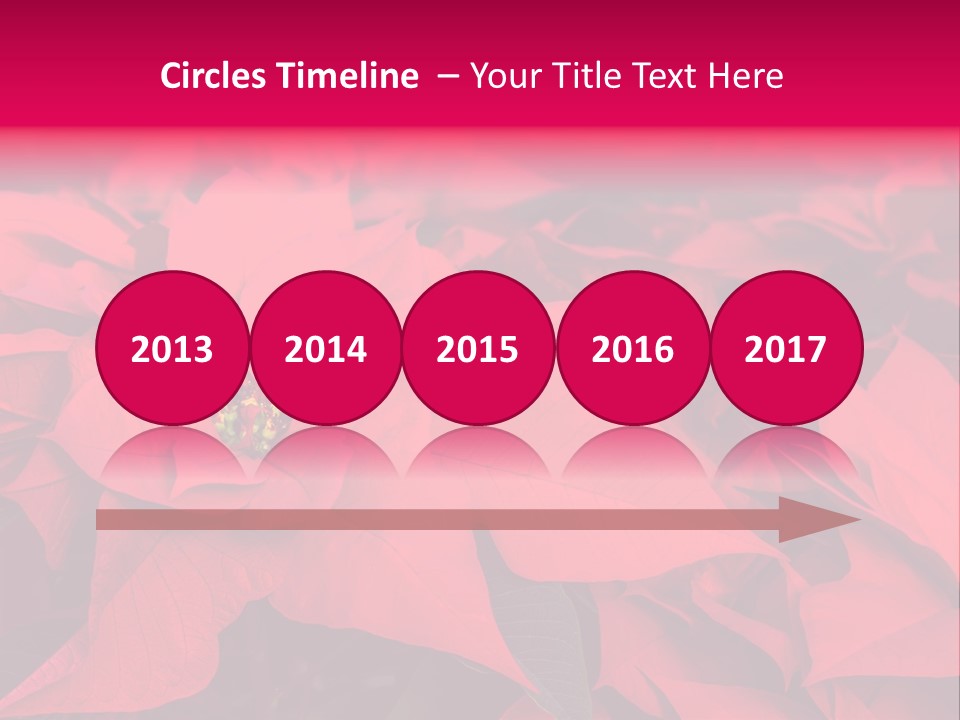 Christmas Plants Christmas Present Purple Poinsettias PowerPoint Template