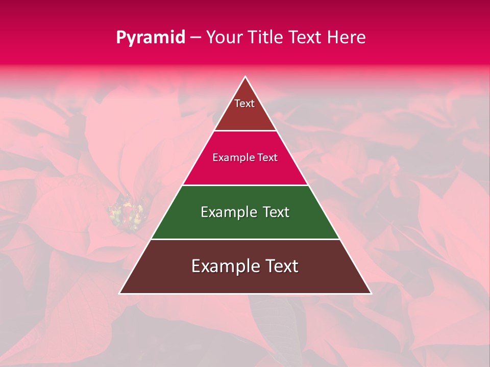 Christmas Plants Christmas Present Purple Poinsettias PowerPoint Template