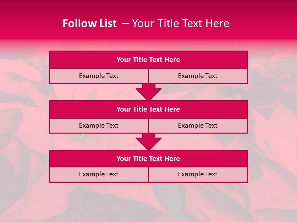 Christmas Plants Christmas Present Purple Poinsettias PowerPoint Template
