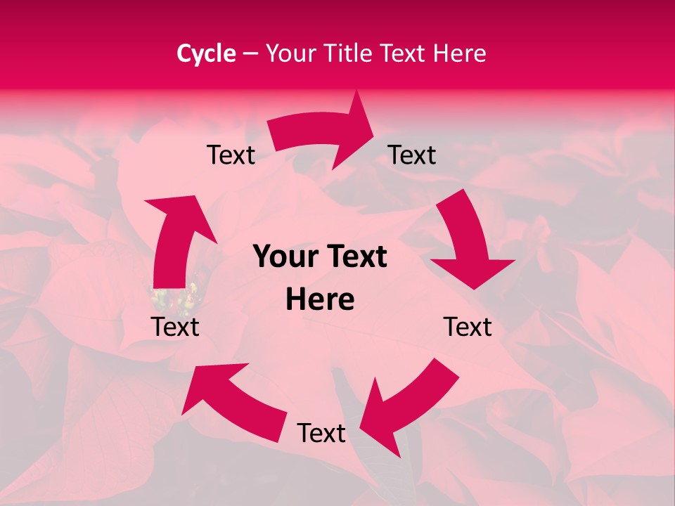 Christmas Plants Christmas Present Purple Poinsettias PowerPoint Template