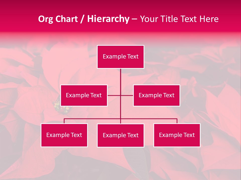Christmas Plants Christmas Present Purple Poinsettias PowerPoint Template