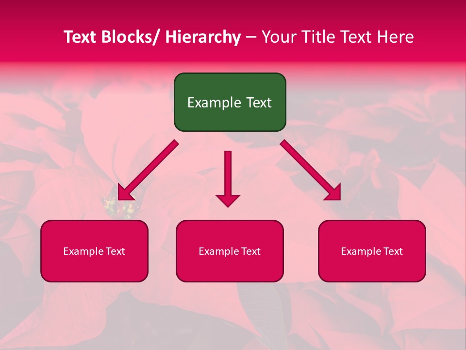 Christmas Plants Christmas Present Purple Poinsettias PowerPoint Template