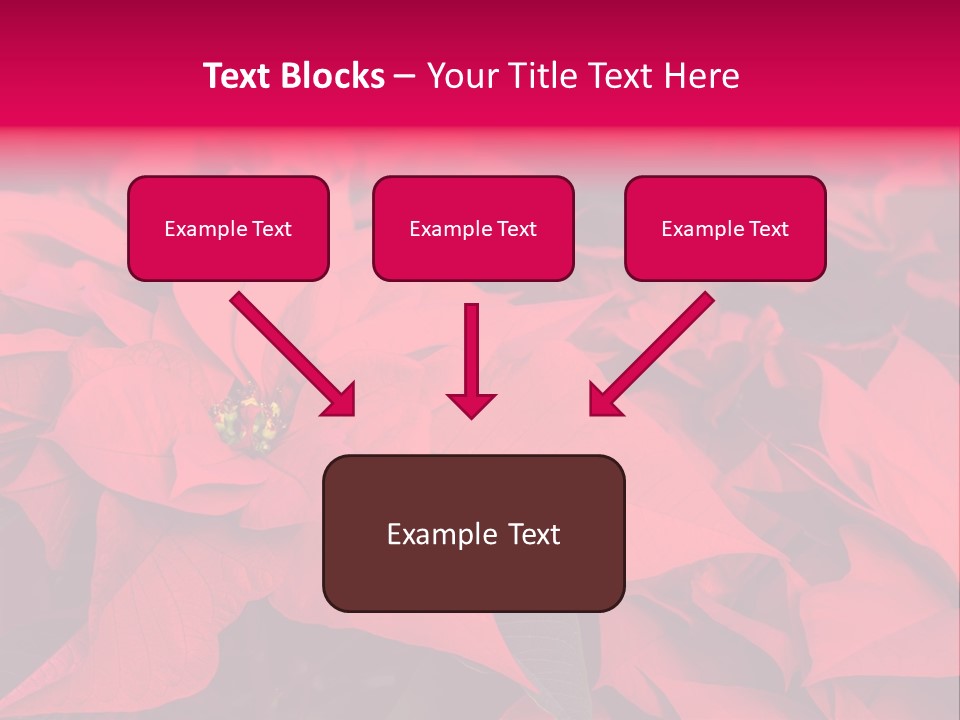 Christmas Plants Christmas Present Purple Poinsettias PowerPoint Template