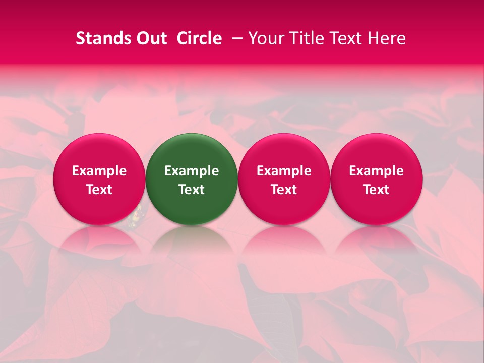 Christmas Plants Christmas Present Purple Poinsettias PowerPoint Template