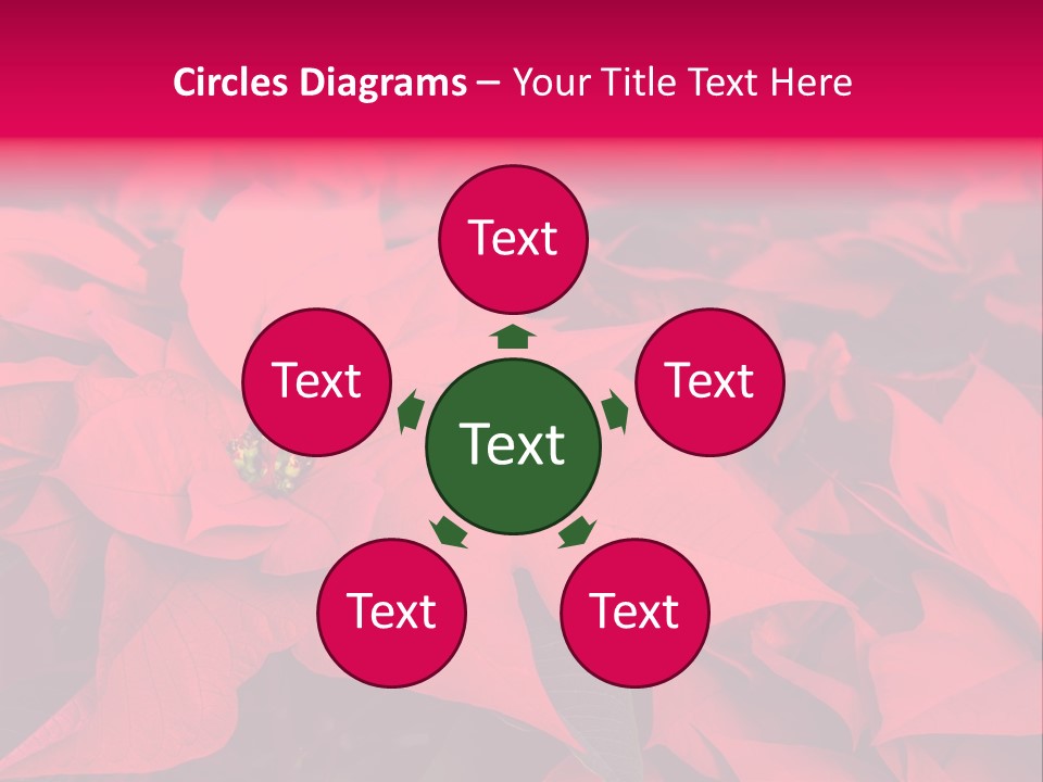 Christmas Plants Christmas Present Purple Poinsettias PowerPoint Template